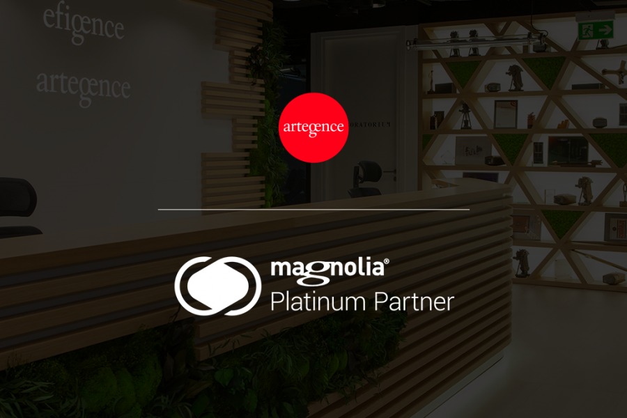 Artegence and Efigence with the prestigious title of Platinum Partner of Magnolia CMS – one of the best solutions for managing content on websites, portals or online services - Preview Image