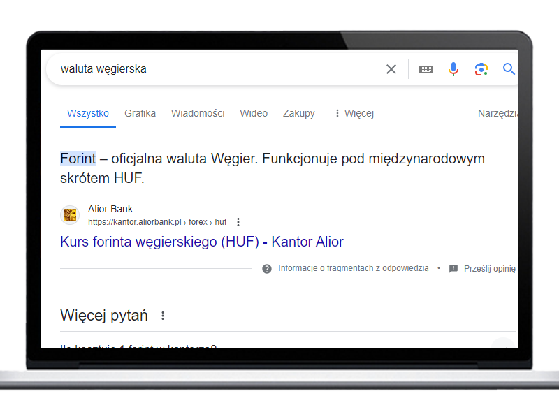 Wyniki wyszukiwania w Google - waluta węgierska.